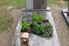 Grabstein-einzel-243 Grabstein-einzel-243