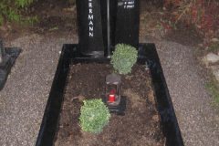 Grabstein-einzel-411 Grabstein-einzel-411