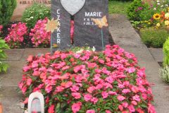 Grabstein-einzel-424