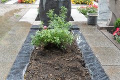 Grabstein-einzel-494